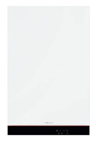 Viessmann Vitodens Connect 25 kW 21.000 Kcal/h Tam Yoğuşmalı Kombi